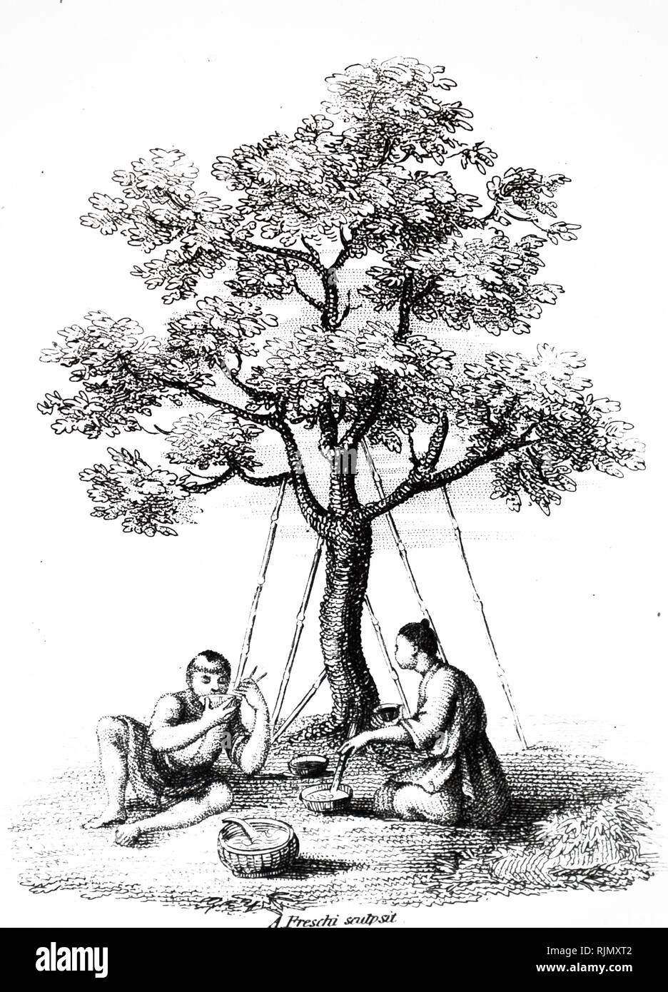 Bamboo drains hires stock photography and images Alamy