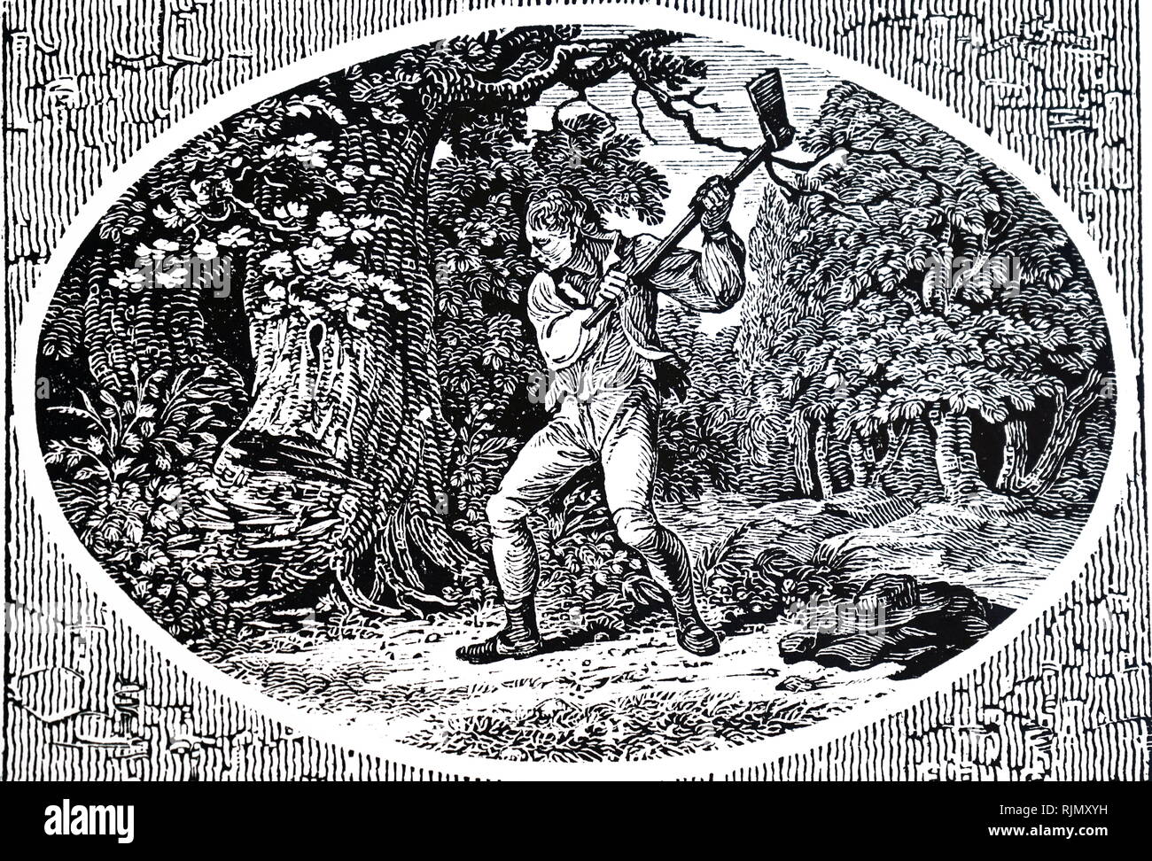 An engraving depicting a woodman chopping down an oak tree. From Thomas Bewick's 'The Fables of Aesop', Newcastle, 1818 Stock Photo
