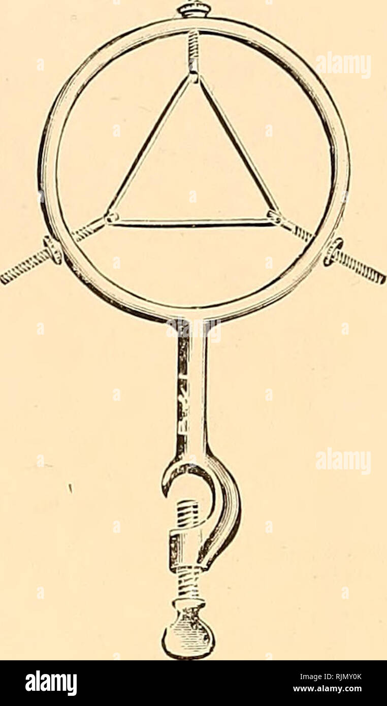 Bacteriological Apparatus Pathological Biochemical Scientific Apparatus And Instruments Bacteriology Chemical Industry T Gt 164 30 164 Platinum Triangles Twisted Ends No A For Crucibles Of Capacity Cc 10 Weight