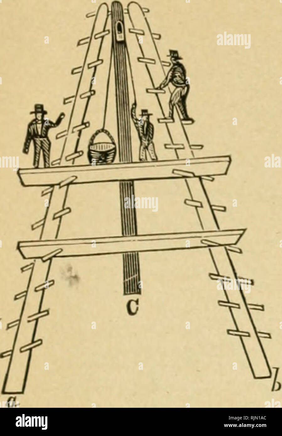 Barry S Fruit Garden Fruit Culture Ladders And Fruit Gatherers 503 More Can Ascend And Work On A Ladder At The Same Time Fig 187 Represents One Of These A 5 The Two Fixed Barry S Fruit Garden Fruit Culture Ladders And Fruit Gatherers 503 More Can Ascend And Work On A Ladder At The Same Time Fig 187 Represents One Of These A 5 The Two Fixed