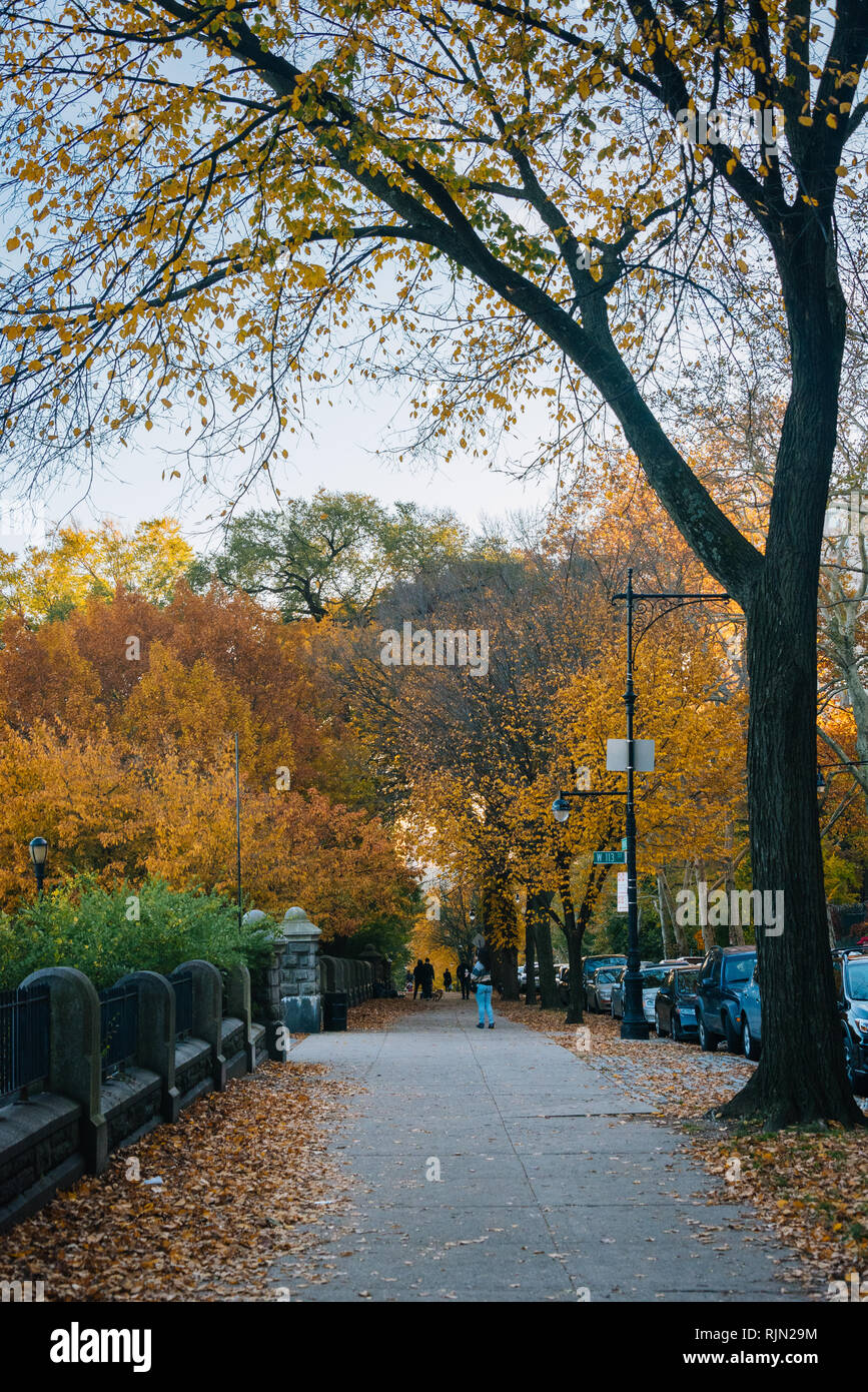 Autumn color at Morningside Heights, in Harlem, New York City Stock