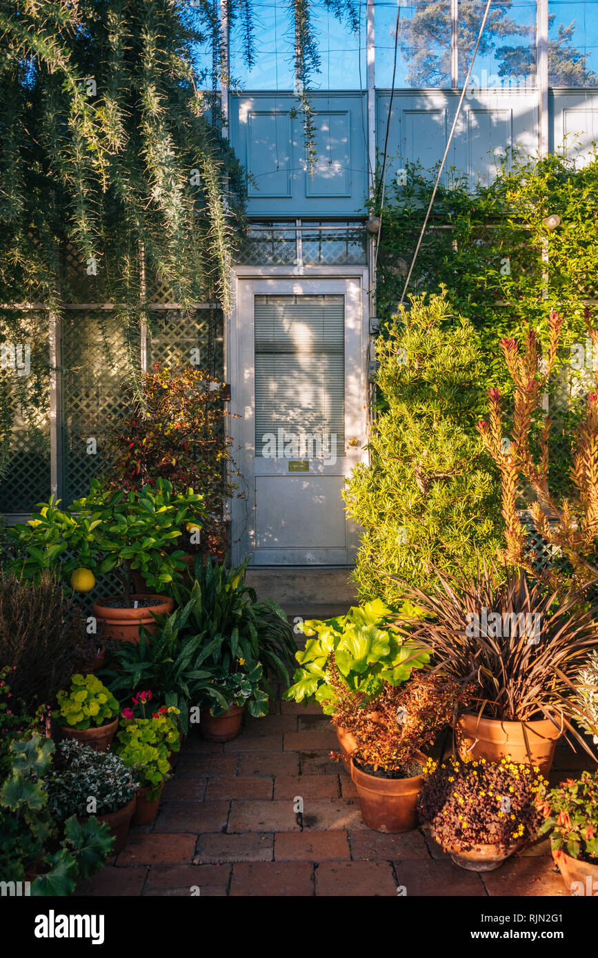 Inside the greenhouse at Wave Hill Public Gardens, in the Bronx, New