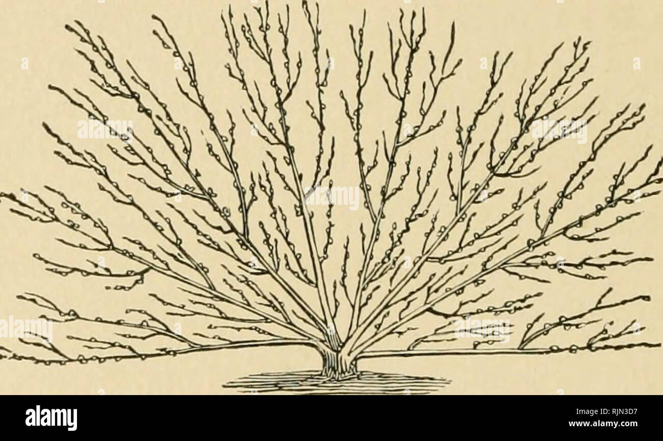 Barry's U Pull It Price List Order Online www.vinodsonkar.in