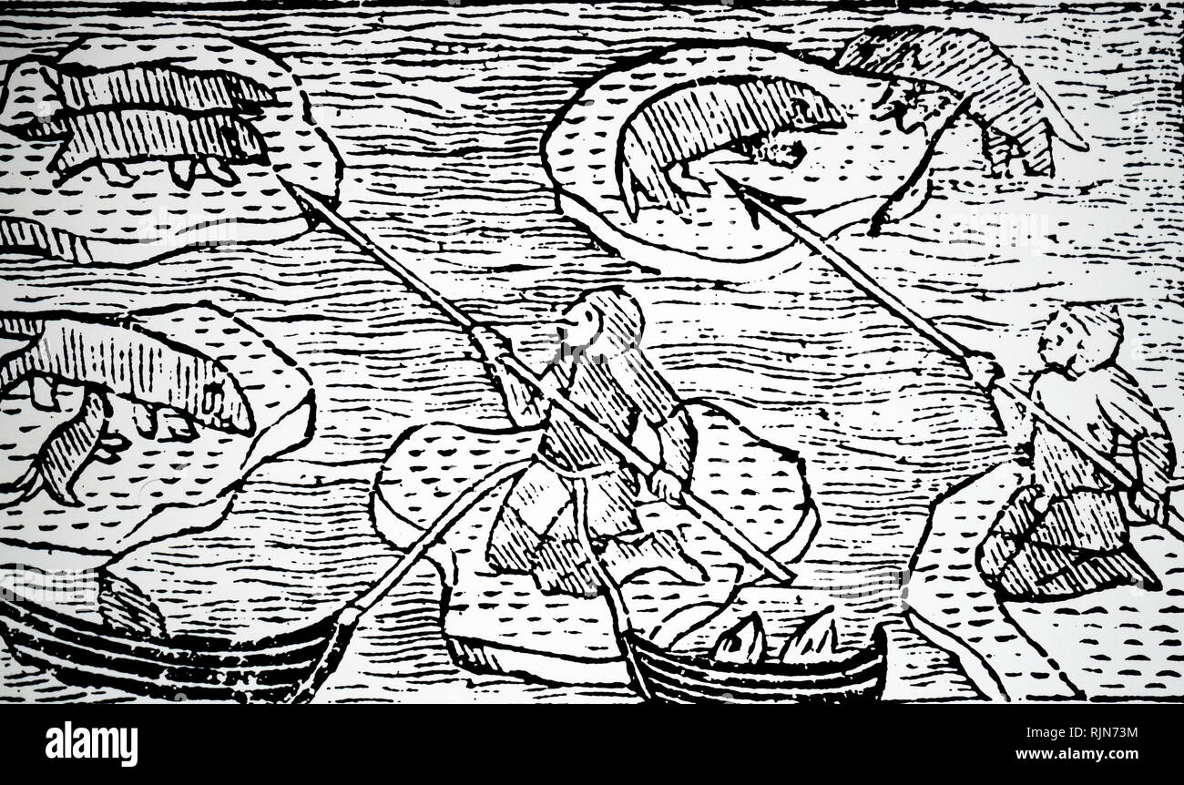 Illustration showing Hunting seal in Arctic waters. from Olaus Magnus 'Historia de gentibus septentrionalibus', Antwerp, 1562. Stock Photo