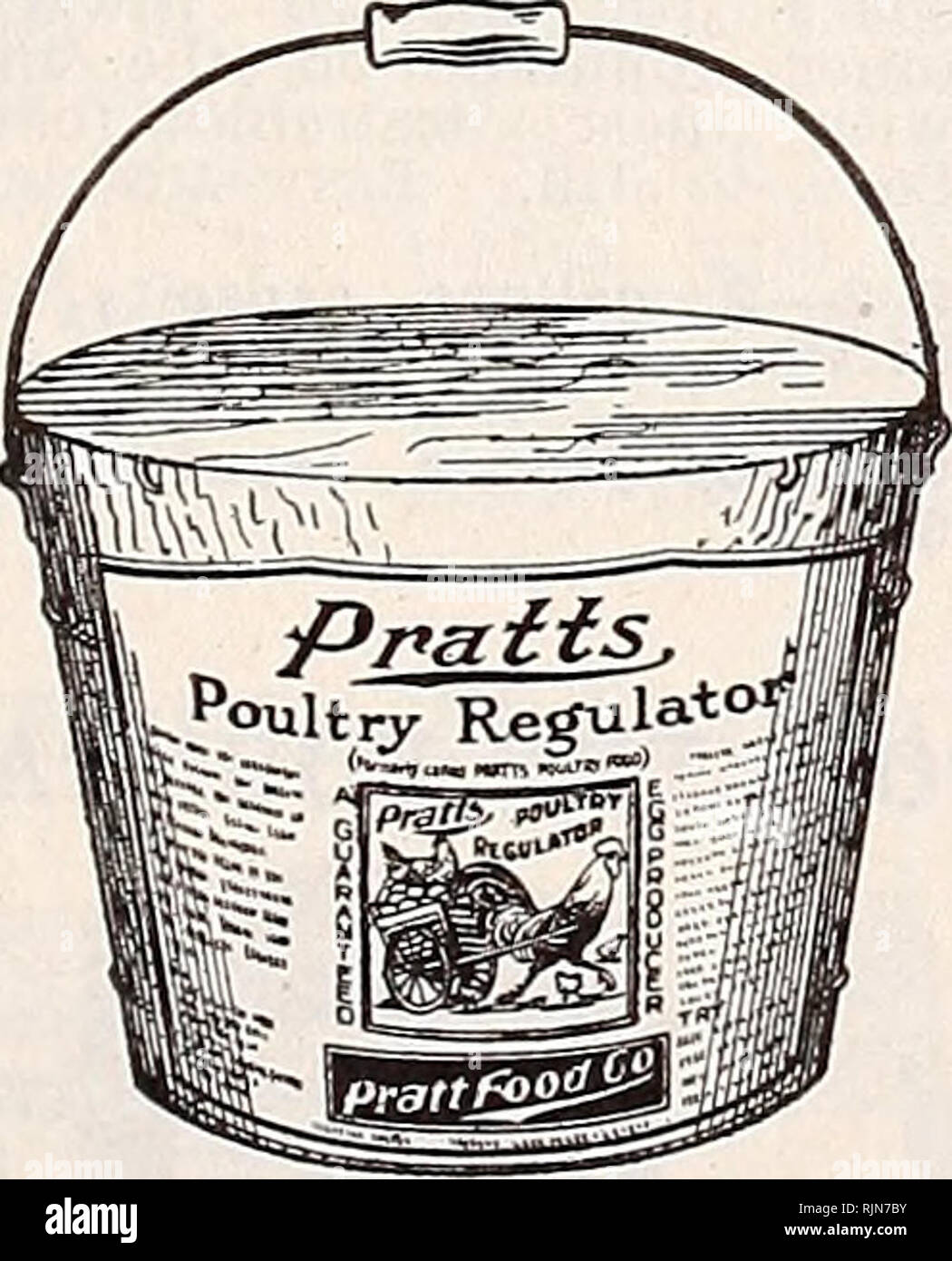 . Bailey's seeds bulbs shrubs poultry supplies. . BABY TURKEYS DUCKLINGS TOULOUSE GOSLINGS Write for Prices. HESS &amp; CLARK POULTRY AND STOCK REMEDIES PAN-A-MIN. Formerly known as Panacea. Should be fed regularly the year around to obtain best re- sults. It is not a stimulant but a tonic that tones up the dormant egg organs. It is an excellent tonic for moulting time, a wonderful egg producer' and is economical and satisfactorv. 3-lb. pkg., 65c; 7-lb. pkg., $1.25; 15-lb. pkq., $2.25; 25- Ibs., $3.50; 100 lb. drum, $12.00. DR. HESS STOCK TONIC. A condi- tioner and worm expeller. Promotes heal Stock Photo