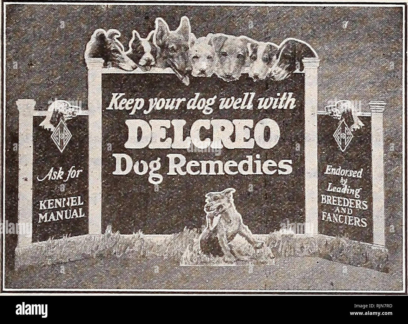 . Bailey's seeds : above them all. BAILEY &amp; SONS CO., Salt Lake City, Utah Page 65 DELCREO DOG REMEDIES The latest and most successful means of combating disease among animals. Never fails when administered in time and according to directions. Used and recommended by the leading breeders and fanciers. The reputation which Delcreo Dog Remedies has gained throughout the United States is a sufficient guarantee of their excellence. COMPLETE LINE OF DELCREO DOG REMEDIES DELCREO. For distemper, pneumonia, black tongue, colds, diarrhoea, auto-intoxi- cation and other diseases of germ origin. A po Stock Photo