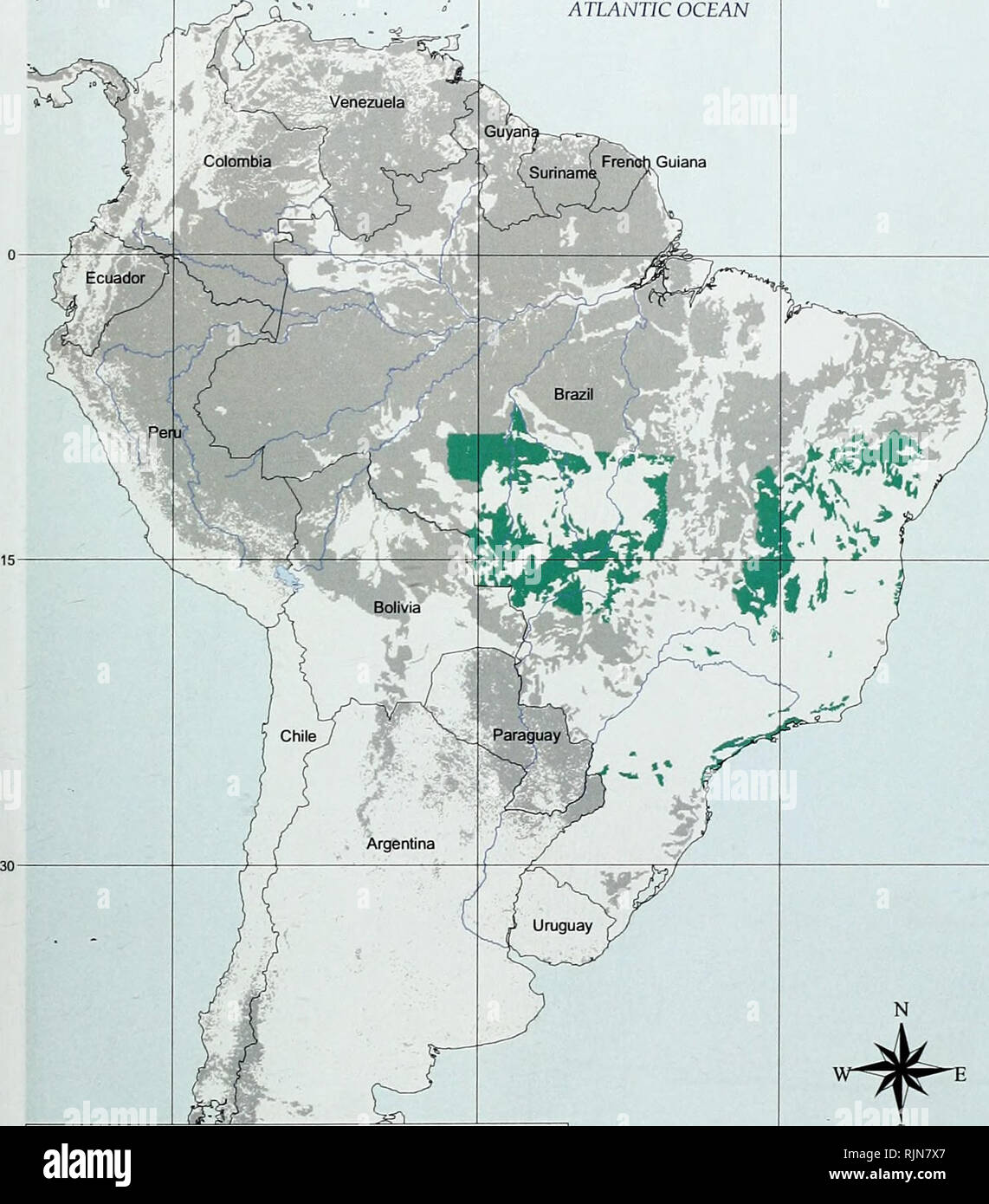 . Bamboo biodiversity : Africa, Madagascar and the Americas. Bamboo; Biodiversity; Bamboo; Biodiversity; Bamboe; Rotan; Biodiversiteit; Bambusgewa?chse; BAMBOO; BIOLOGICAL DIVERSITY; NATURE CONSERVATION; MAPS; AFRICA; MADAGASCAR; AMERICAS. Bamboo biodiversity &quot;v&gt; (ft- ATLANTIC OCEAN Guiana. Map 3.13. Potential distribution of Athroostachys capitata Native: within forest cover Existing forest cover with no records of Athroostachys capitata 500 1000 1500 km 55. Please note that these images are extracted from scanned page images that may have been digitally enhanced for readability - col Stock Photo