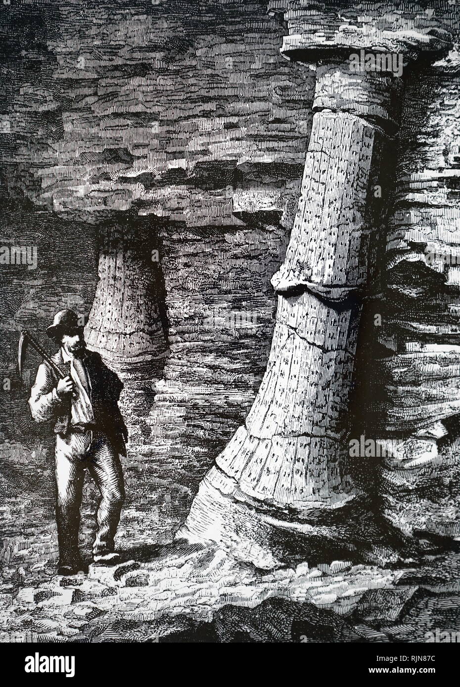 An engraving depicting a fossil tree trunk in a coal mine at Treuil
