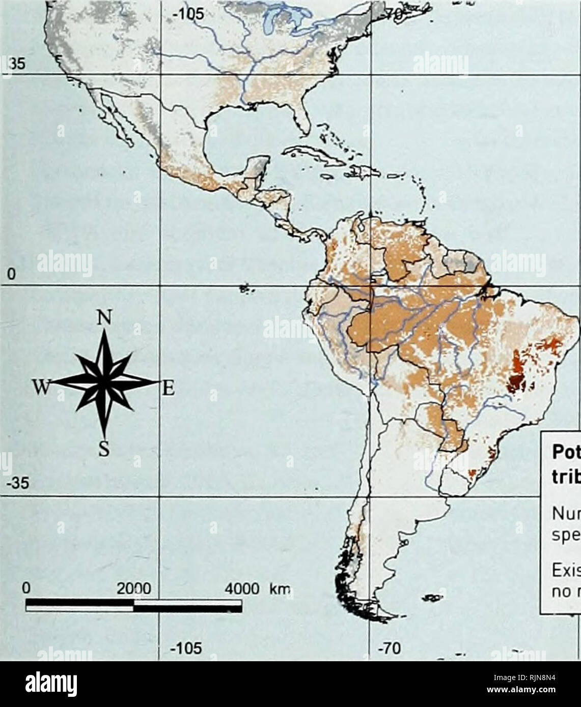 . Bamboo biodiversity : Africa, Madagascar and the Americas. Bamboo; Biodiversity; Bamboo; Biodiversity; Bamboe; Rotan; Biodiversiteit; Bambusgewa?chse; BAMBOO; BIOLOGICAL DIVERSITY; NATURE CONSERVATION; MAPS; AFRICA; MADAGASCAR; AMERICAS. Figure 6. Distribution of potential generic richness of woody bamboos across the three study regions, derived by combining the distributions of 37 genera, and showing the strong concentration of generic diversity in eastern Brazil.. Please note that these images are extracted from scanned page images that may have been digitally enhanced for readability - co Stock Photo