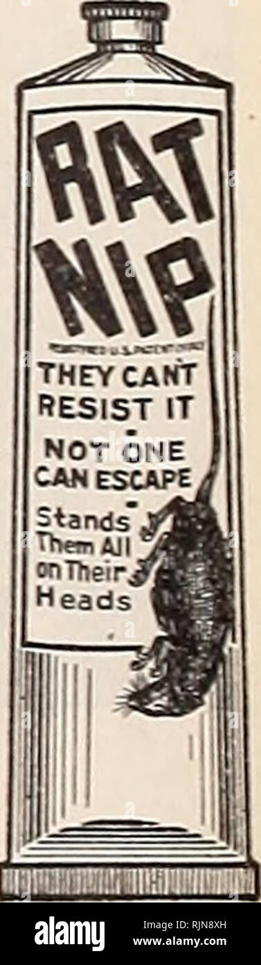 Can Rat Poison Kill Roaches? Discover the Truth