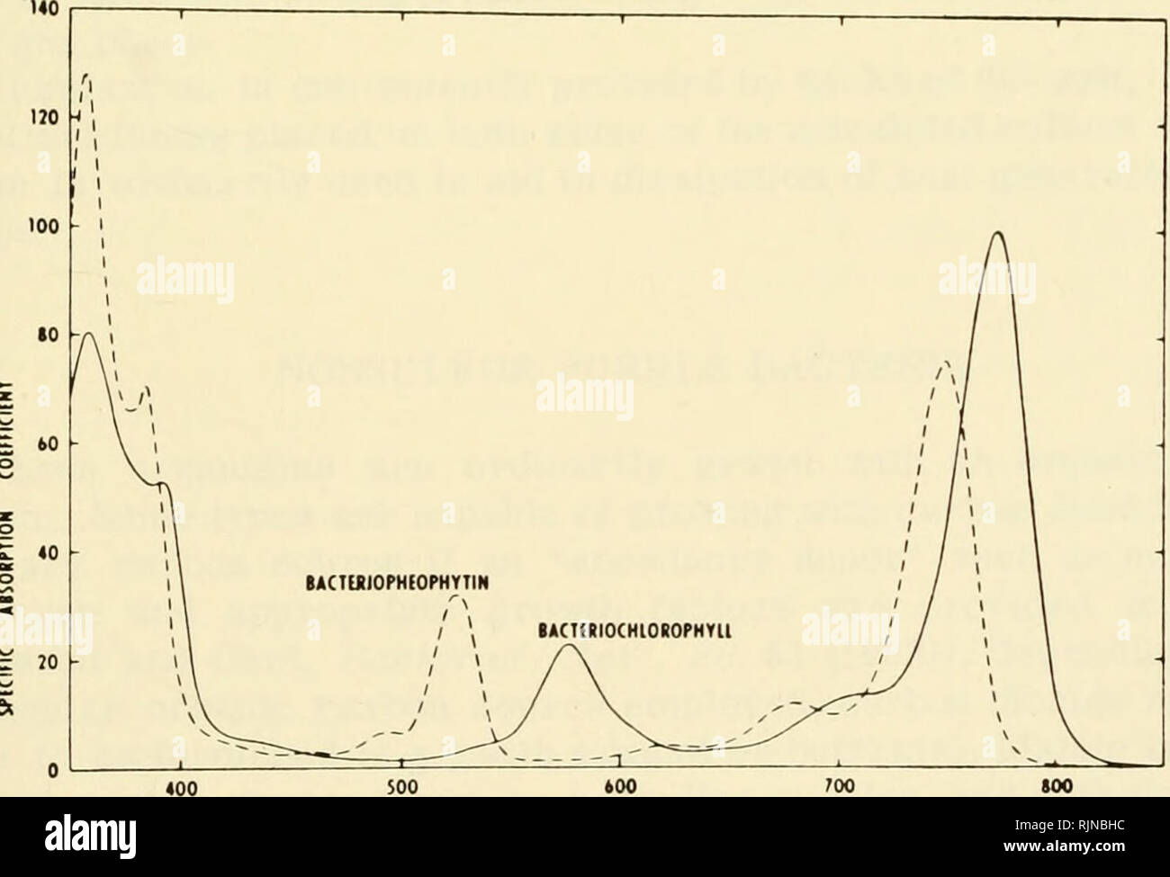 Chi K Hi Res Stock Photography And Images Page 6 Alamy Chi K Hi Res Stock Photography And Images Page 6 Alamy