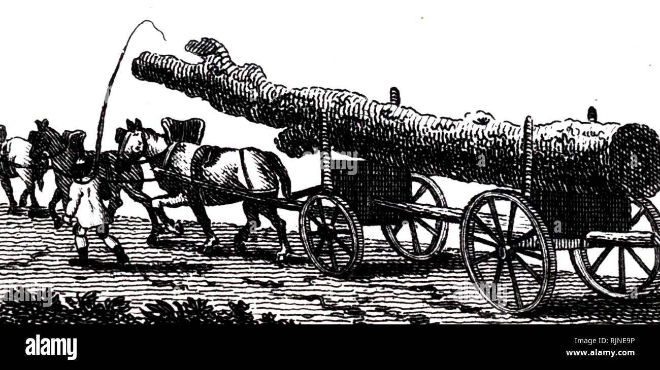 An engraving depicting a tree-trunk being taken to the sawmills on a timber carriage. Stock Photo