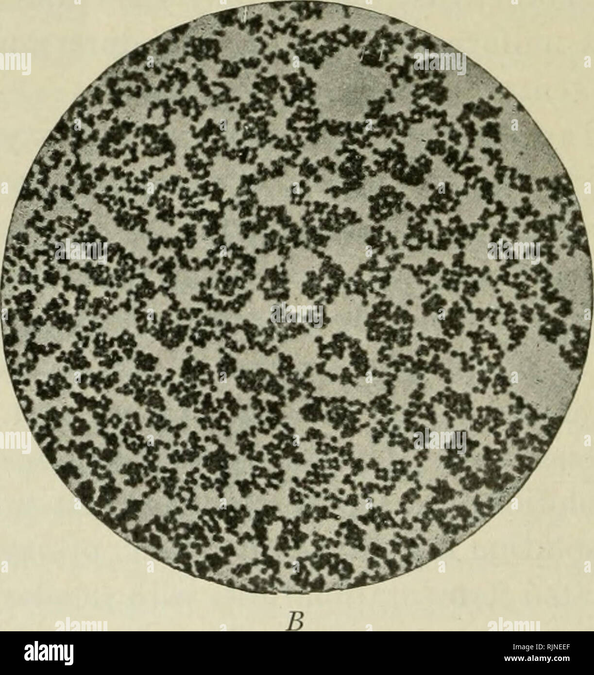 . Bacteriological methods in food and drug laboratories, with an introduction to micro