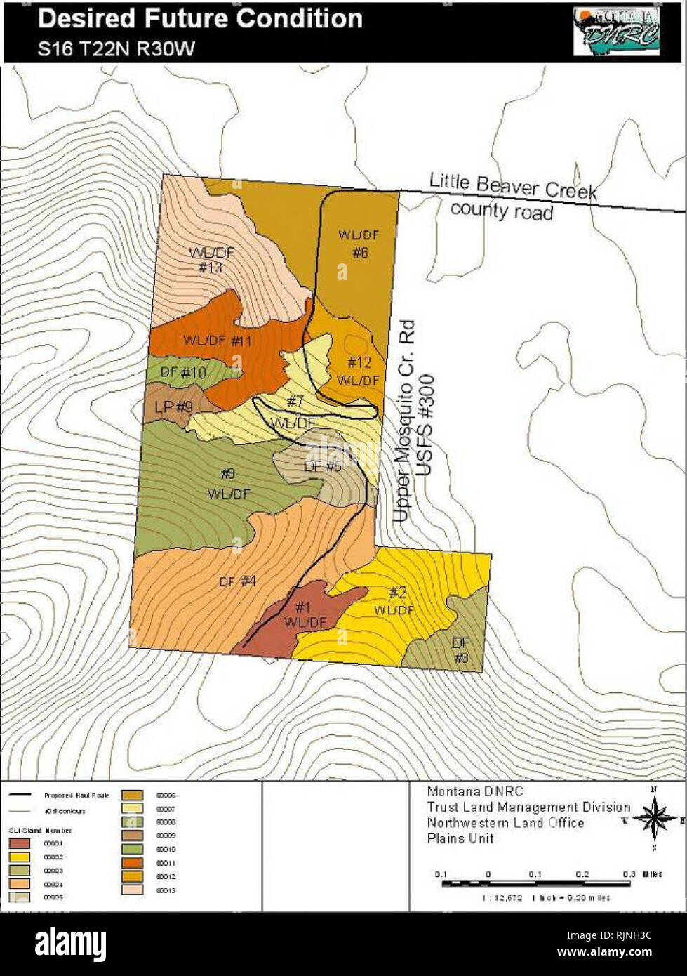 . Environmental assessment for the Mosquito Creek timber sale [electronic resource] . Forest reserves; Logging; Logging; Environmental impact analysis; Harvesting. Desired Future Condition S16T22N R30W. â ^^ Pi 'â â â¢* i Hwl Rout ! 'H oit|l Ho [ilioiijl lb.ii|ii 21. Please note that these images are extracted from scanned page images that may have been digitally enhanced for readability - coloration and appearance of these illustrations may not perfectly resemble the original work.. Peters, Dale; Montana. Dept. of Natural Resources and Conservation. [Plains, Mont. : Montana Dept. of Natural  Stock Photo