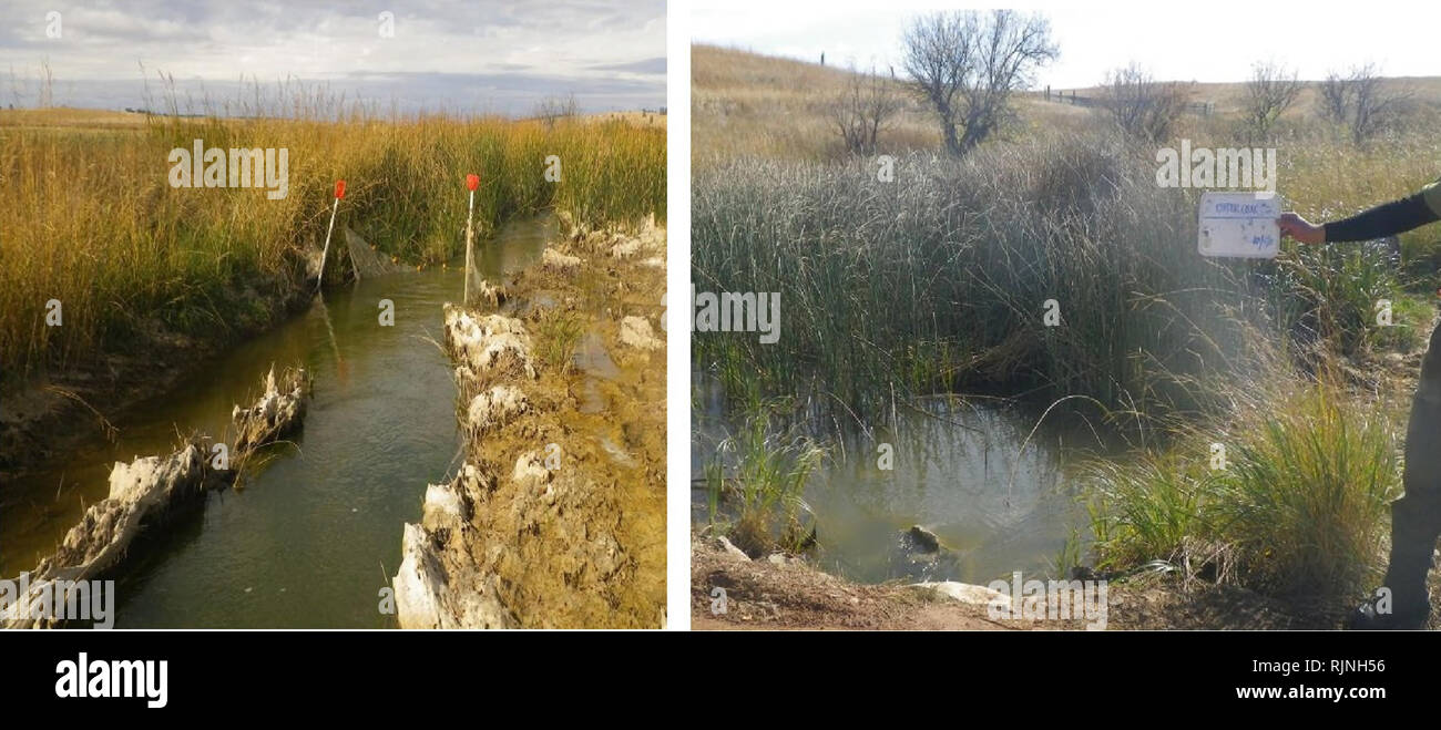 . Baseline assessment and analysis of fish, macroinvertebrates and herpetofauna in the Otter Creek coal tracts area of Powder River County. Aquatic ecology; Aquatic invertebrates; Fishes; Amphibians; Reptiles. Otter Creek #2 (impact): fall visit looking downstream to block net (left) and upstream (right).. 21. Please note that these images are extracted from scanned page images that may have been digitally enhanced for readability - coloration and appearance of these illustrations may not perfectly resemble the original work.. Stagliano, David M. ,author; Farmer, Pat; Montana Natural Heritage  Stock Photo