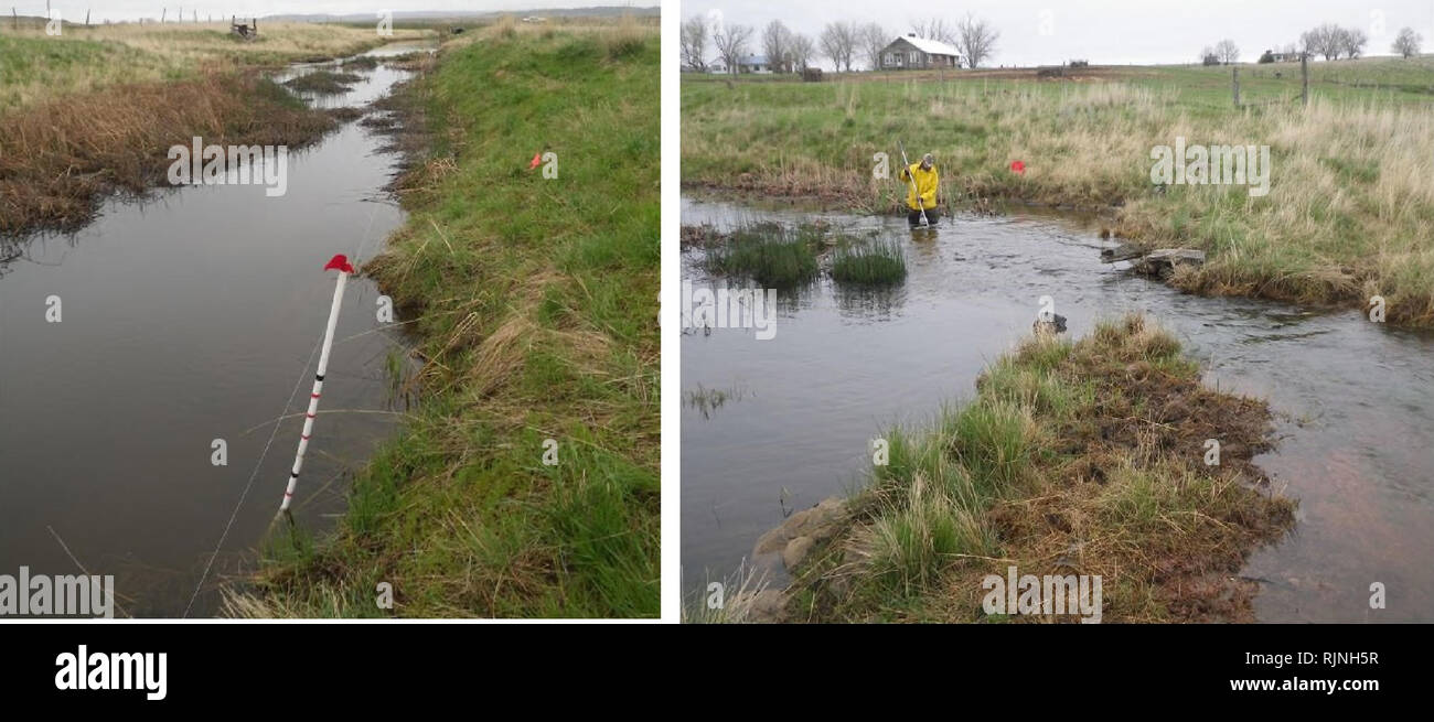 . Baseline assessment and analysis of fish, macroinvertebrates and herpetofauna in the Otter Creek coal tracts area of Powder River County. Aquatic ecology; Aquatic invertebrates; Fishes; Amphibians; Reptiles. Site Photos Otter Creek #22 (control) during spring visit: pools (left) and riffle (right). Otter Creek #2 (impact): fall visit looking downstream to block net (left) and upstream (right).. Please note that these images are extracted from scanned page images that may have been digitally enhanced for readability - coloration and appearance of these illustrations may not perfectly resemble Stock Photo