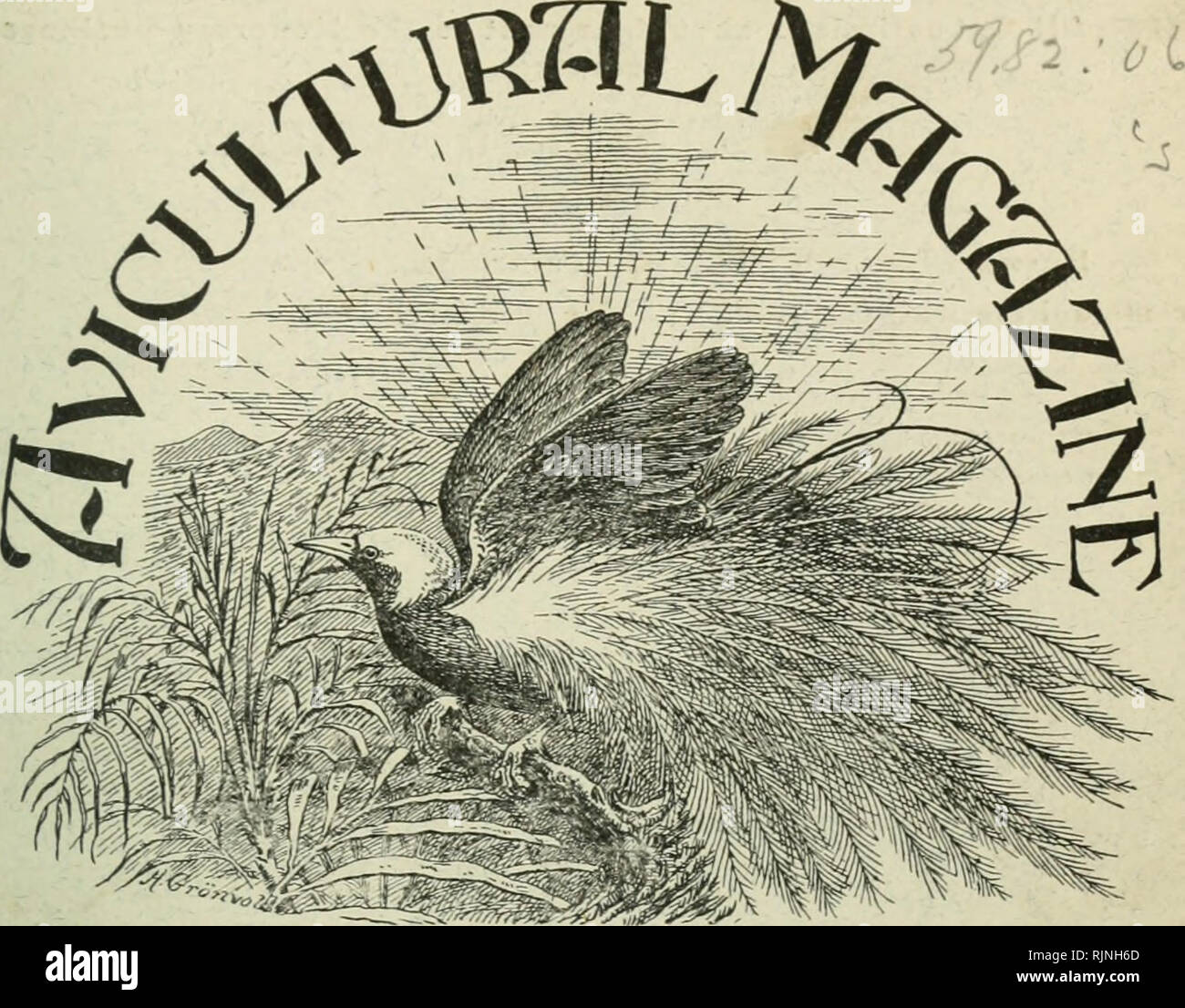 . The Avicultural magazine. Aviculture; Birds; Cage birds. ^SUrijJdZ OCTOBER, 1903. NEW SERIES. MONTHLY. Vol. 1. No. 12 Price i^ 6*'- jâj Members' Annual Subscription, 10-; payable in advance. fpj] B. &gt;â THE JOURNAL OF THE AVICULTURAL SOCIETY. -^ CONTENTS.^- The Silver-eared Mesia yxviih coloiired nmi uiico/ouredplafes) by KKÂ«iNAr-i&gt; PHir.r.ipps On Breeding tlie Demoiselle Crane in Captivity, by W. H. St. Qiiintin, F.Z.S. Nesting of the White-fronted Dove, by Miss R. Ai,dkr.son Do%'es eating Insects and Worms, by A. G. Huti.kk, Ph D. Keeve Breeding in Captivity, by W. H. Sr. QuiNilN, F. Stock Photo