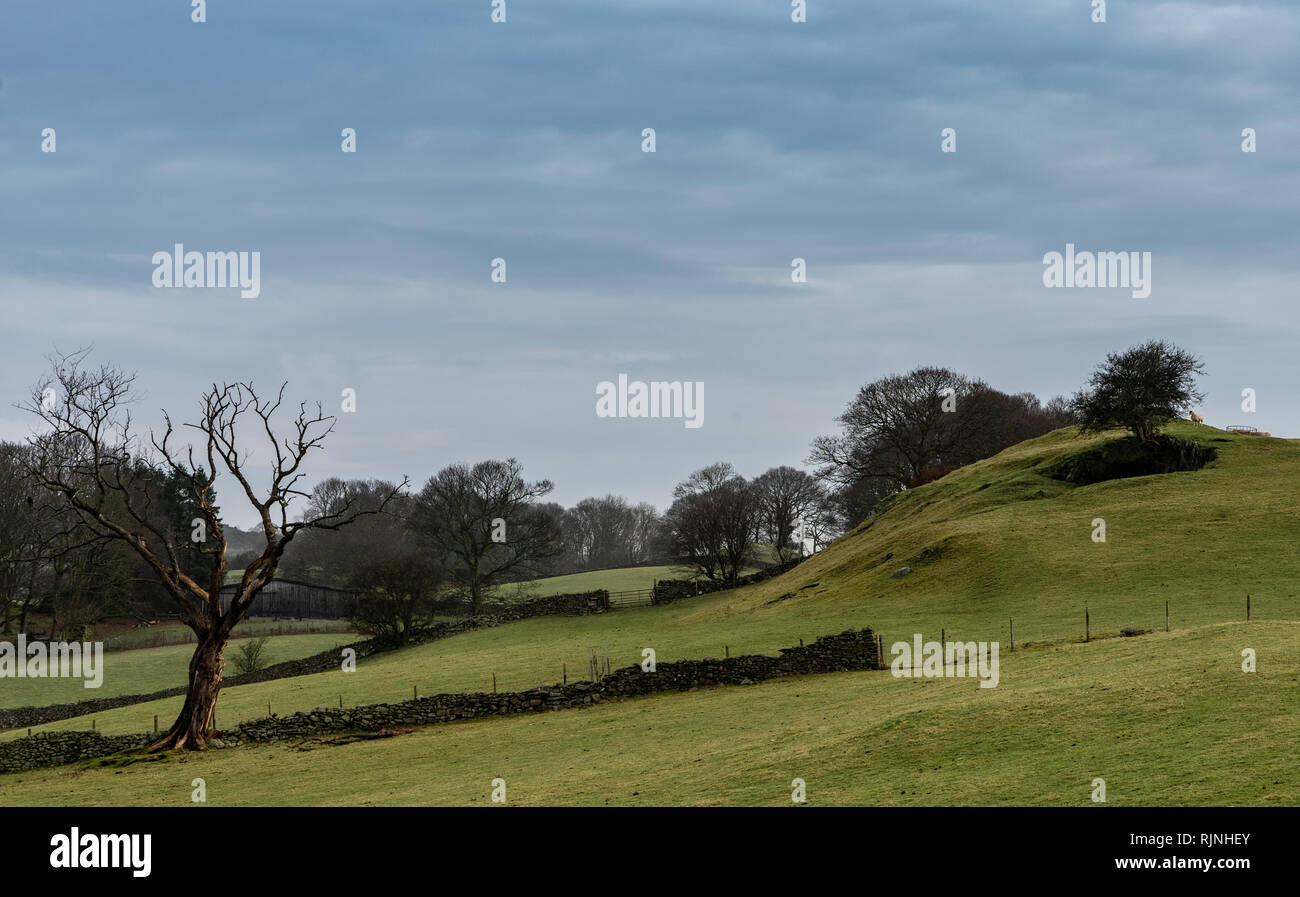The Windermere countryside in early February Stock Photo