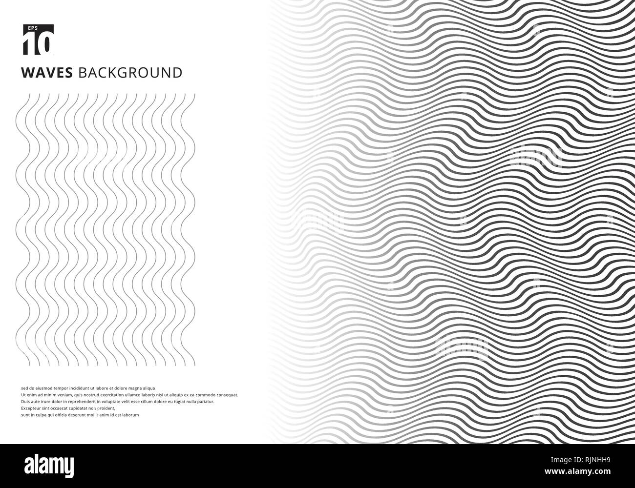 Abstract template black wavy stripes curved ripple lines texture on white background with copy space. Modern trendy 3D curves. Vector illustration Stock Vector