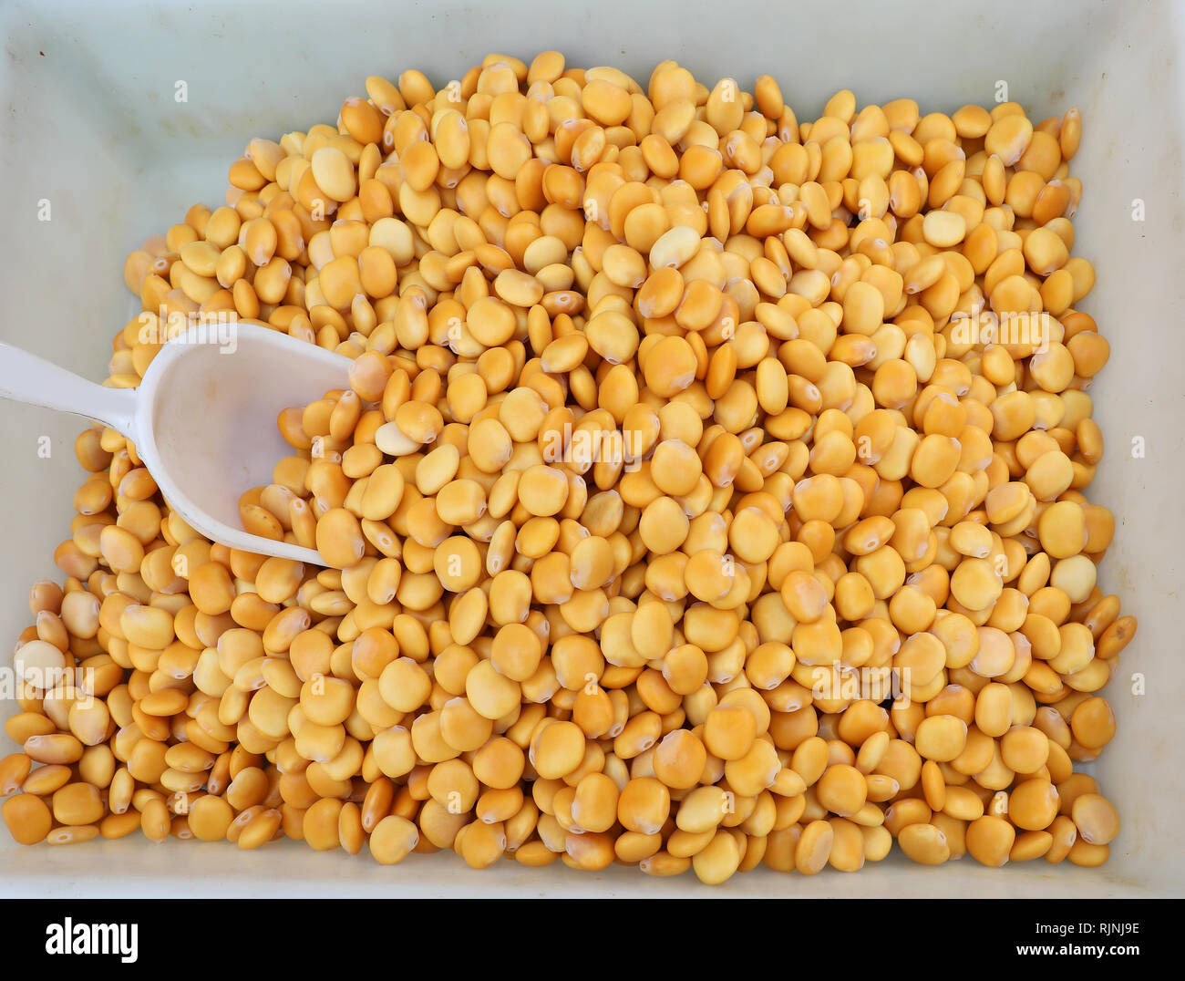 Lupin allergy hires stock photography and images Alamy