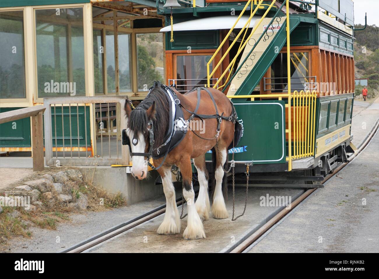 Horse drawn tram in Victor Harbor, South Australia Stock Photo