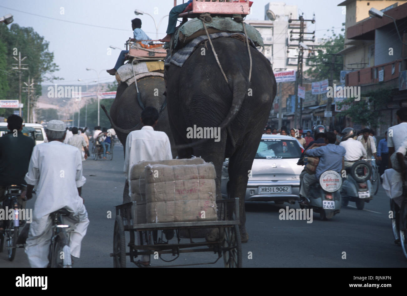 Caption: Jaipur, Rajasthan, India - Apr 2003. Elephants share the road with cars, motorbikes and bicycles in downtown Jaipur. An eclectic blend of con Stock Photo