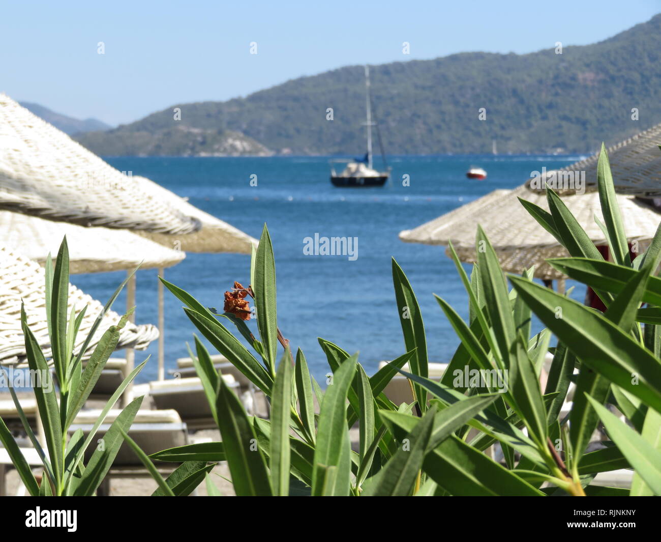 Beach with sunbeds and tropical plants on the sea coast. Boats in the bay, mountain island Stock Photo