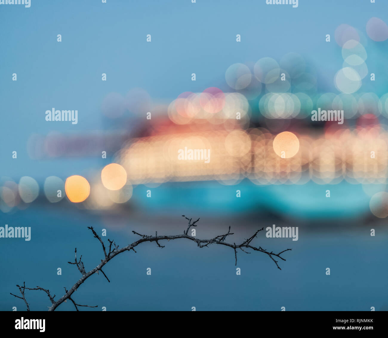 Twig in front of blurred ship, illuminated at dusk, differential focus, Gothenburg, Sweden, Europe Stock Photo