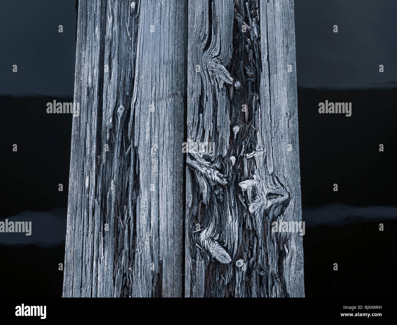 Detail of splinters and knots on old wooden post, close up, cropped Stock Photo