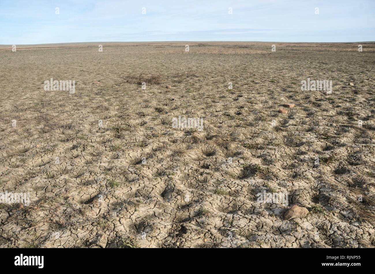 A dried up lake bed in the Great Plains at the American Prairie Reserve south of Malta in Phillips County, Montana. Stock Photo