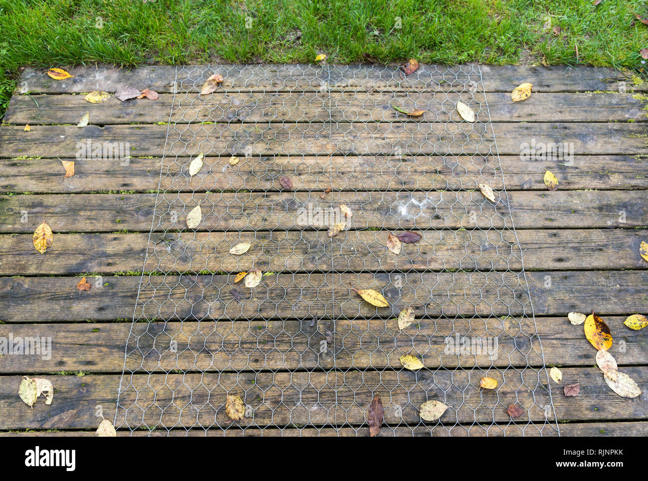 Anti slip fence placed on a driveway in strips of wood, autumn, Somme, France Stock Photo