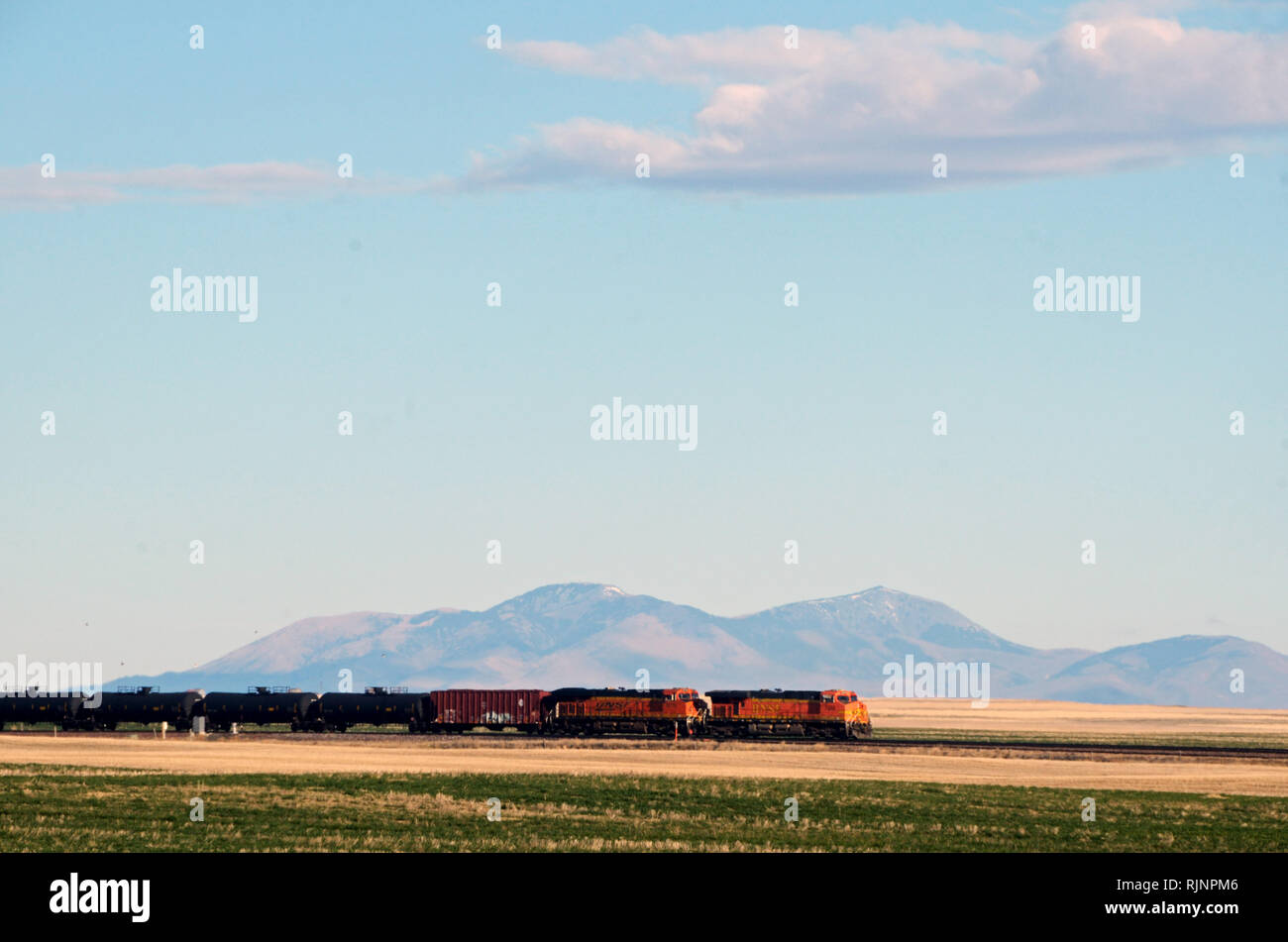 BNSF train with oil tank cars travels across the Great Plains of Montana with the Sweetgrass Hills in the background. Stock Photo