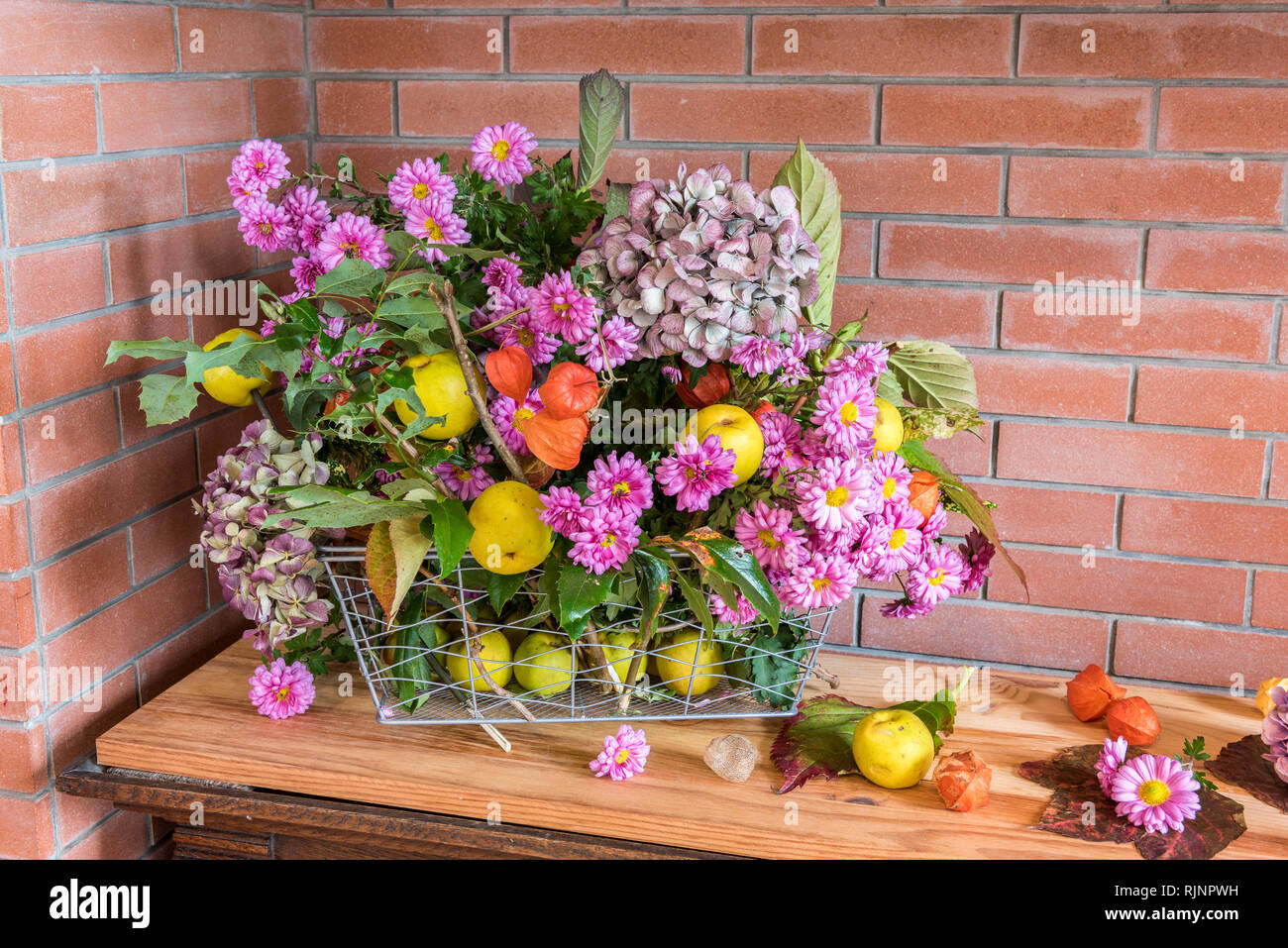 Autumn bouquet composed of chrysanthemums, hydrangea, physalis and quinces Stock Photo