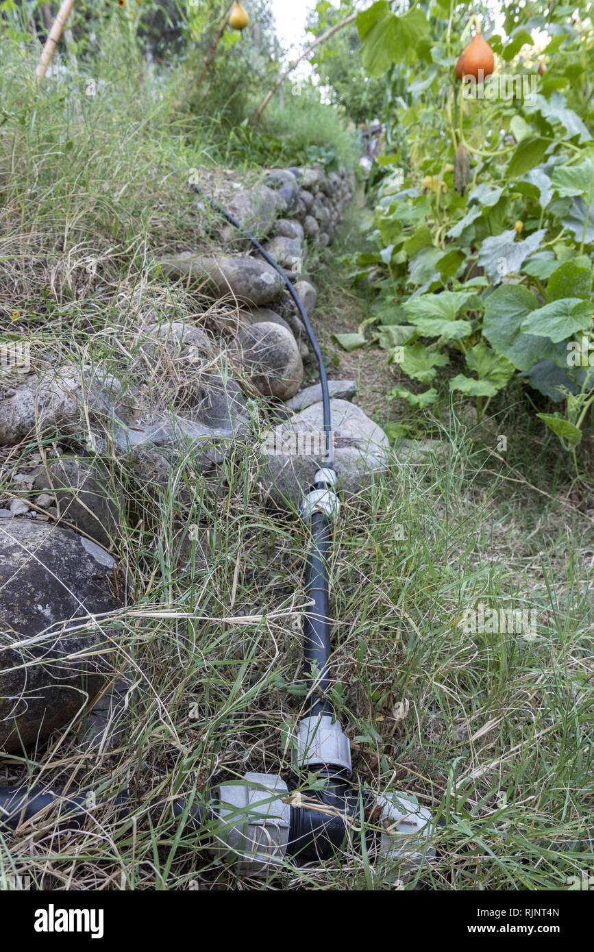 Watering system in a kitchen garden, Le Viel Audon, Ardèche, France Stock Photo