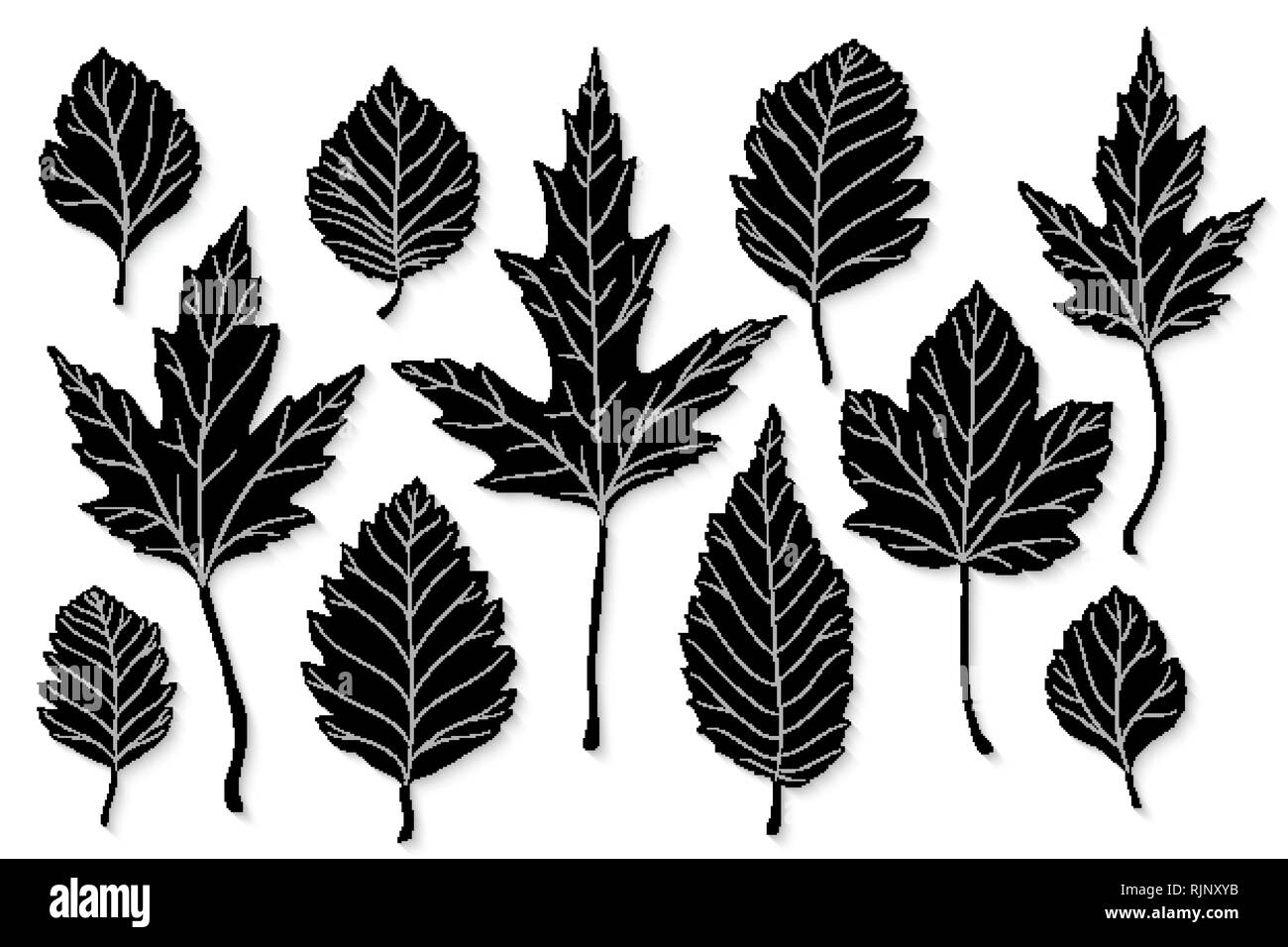Leaves silhouette vector set Stock Vector Image & Art - Alamy