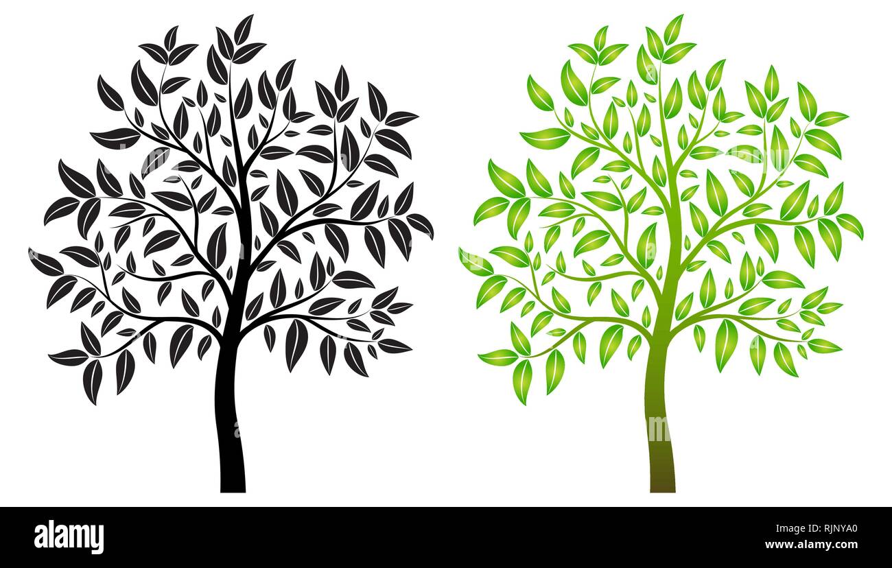 green trees isolated Stock Vector Image & Art - Alamy