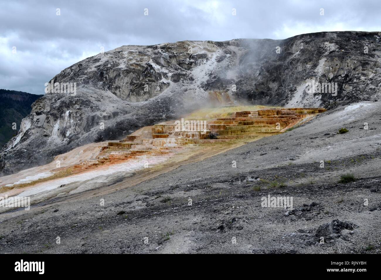 Mineral deposition and algal mats at Mammoth Hot Springs Yellowstone National Park Wyoming USA Stock Photo