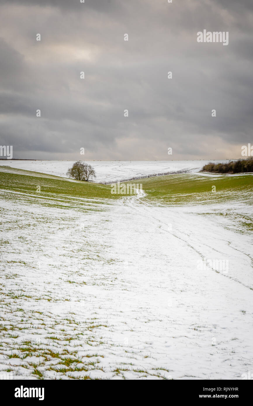 Landscape in the South Downs National Park during winter 2019, Hampshire, England, UK Stock Photo