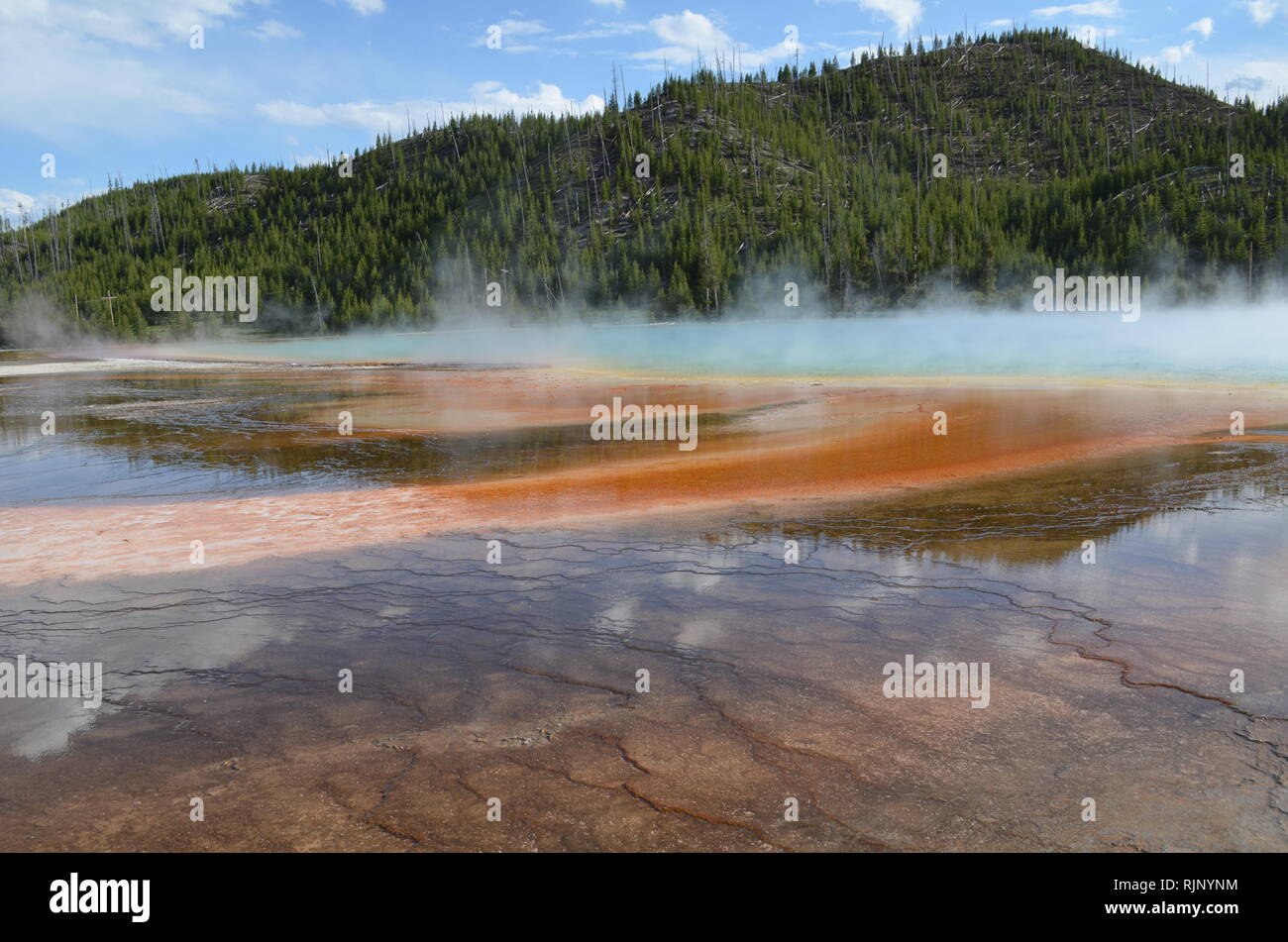 Mineral deposition and algal mats in a hot spring, with green hill in the background, at Yellowstone National Park Wyoming USA Stock Photo