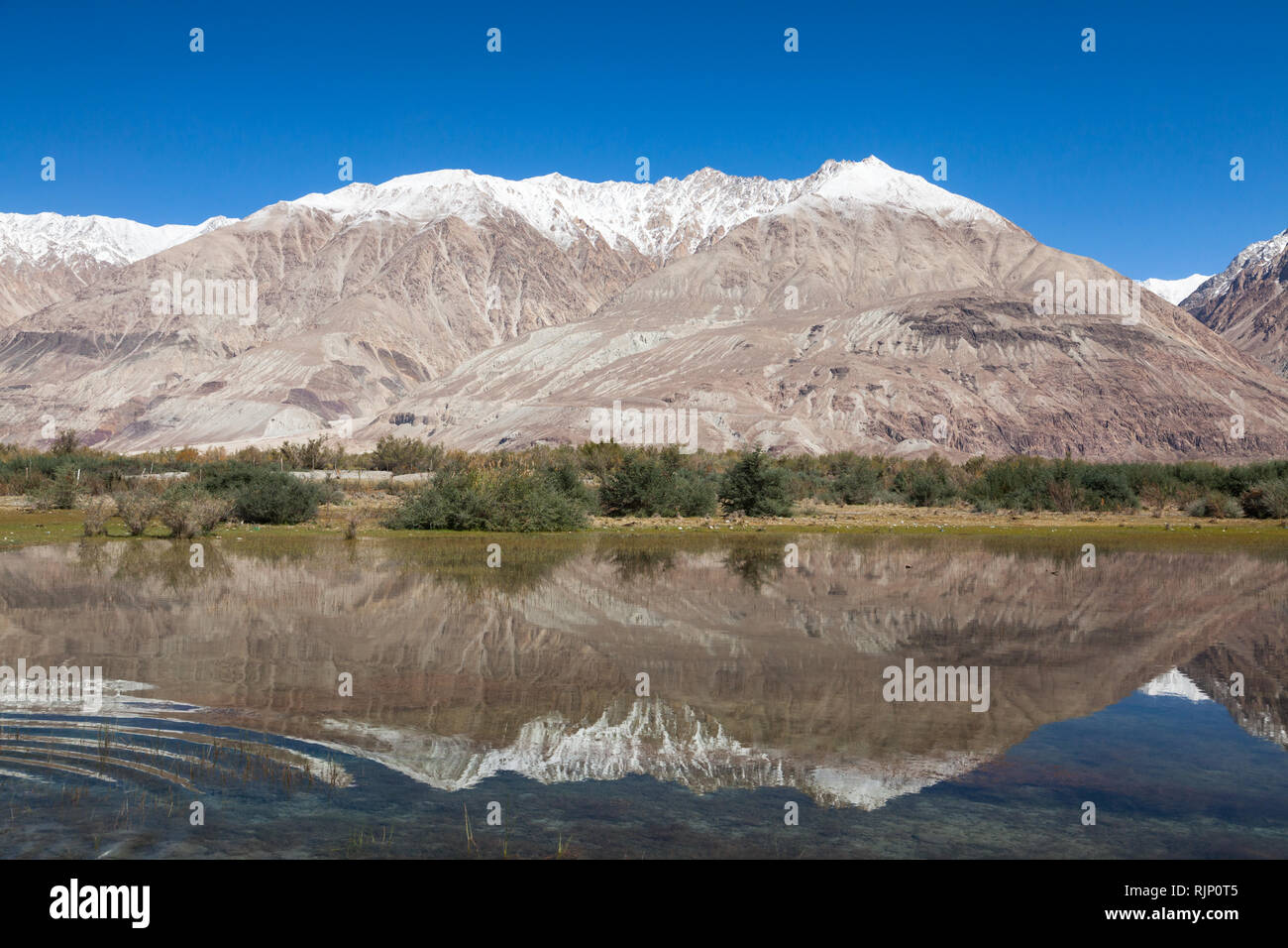 Landscape with snow-capped mountains reflecting in the water, Nubra Valley, Ladakh, Jammu and Kashmir, India Stock Photo