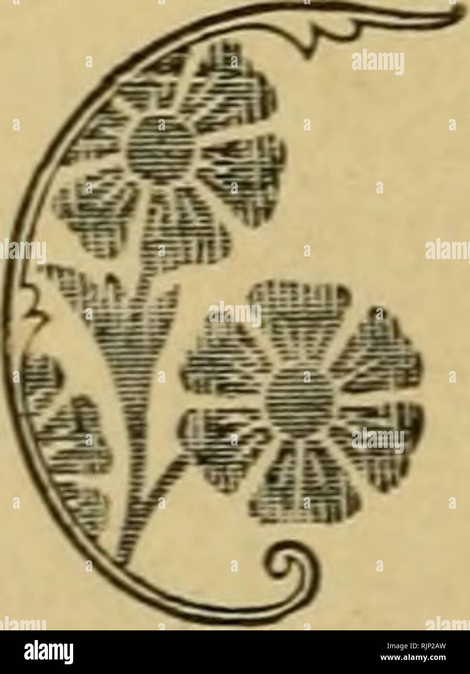 . Axtell and Allerton. Williams, C. W. [from old catalog]; Axtell (Race