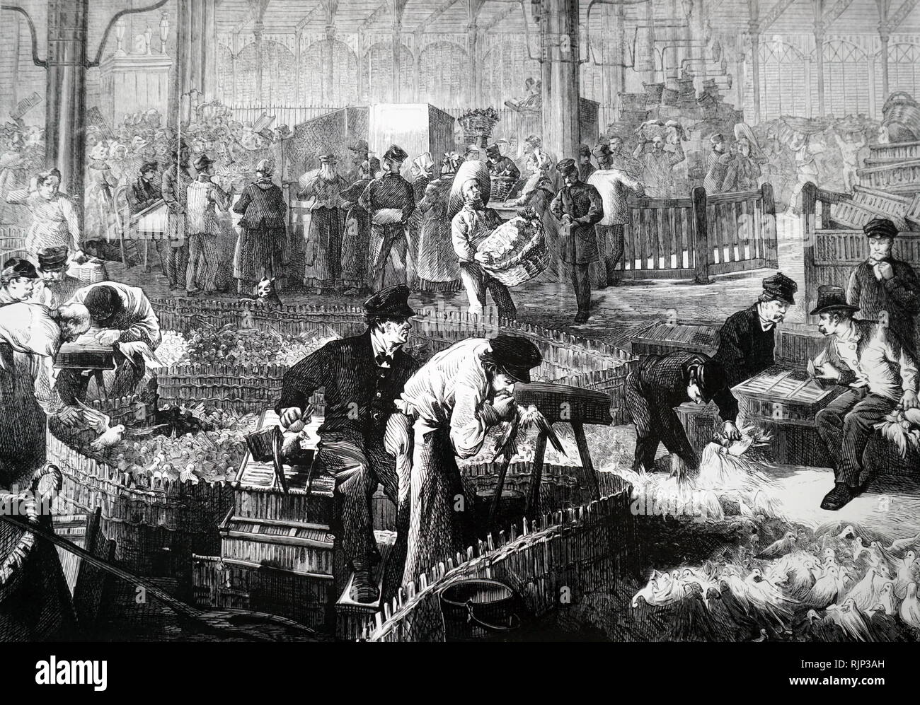 19世紀～ 1800's～ France antique Stall 19世紀～ 1800's～ France antique Stall 19世紀～ 1800's