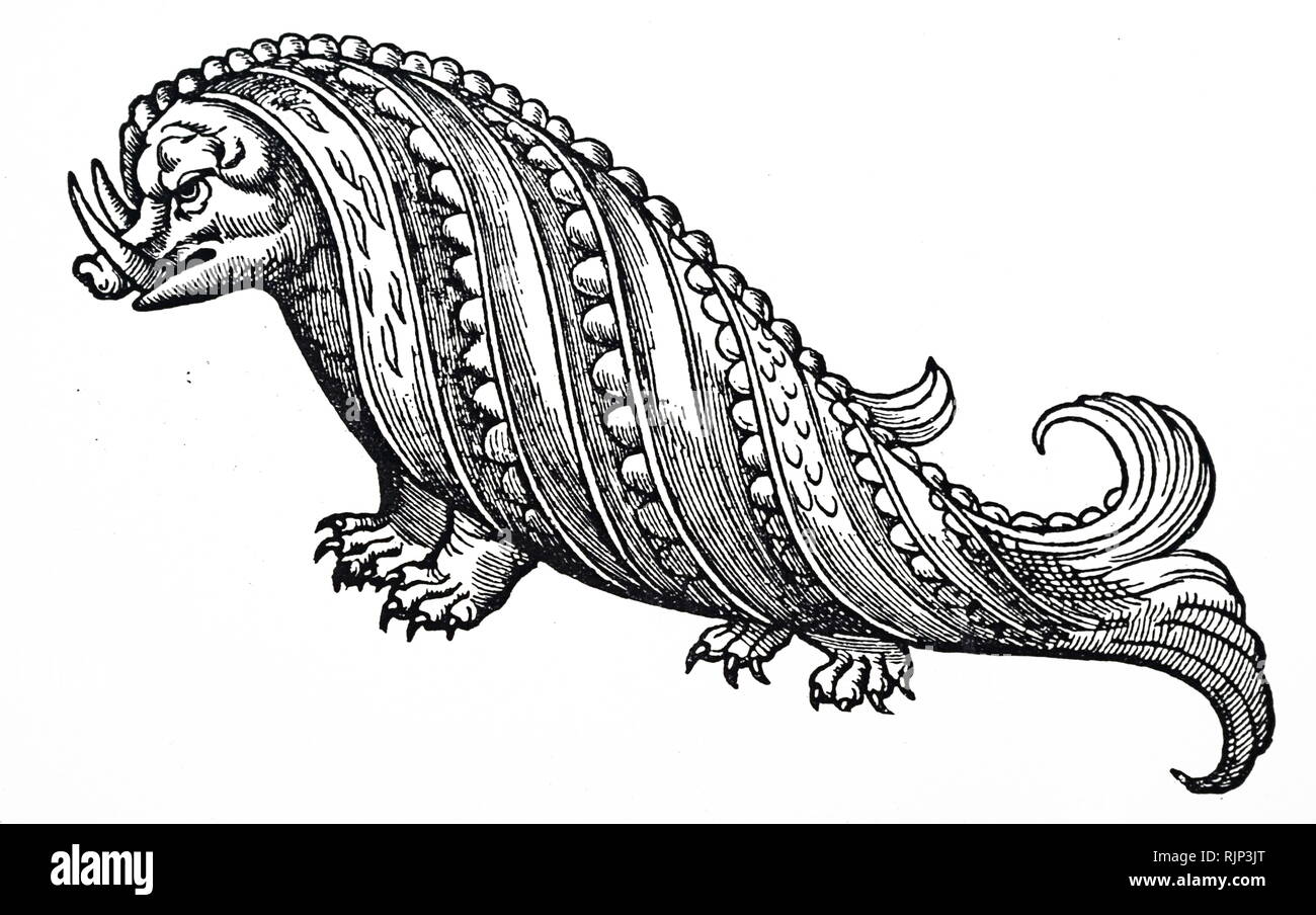 A woodcut engraving depicting a whale-like sea monster. Dated 16th century Stock Photo