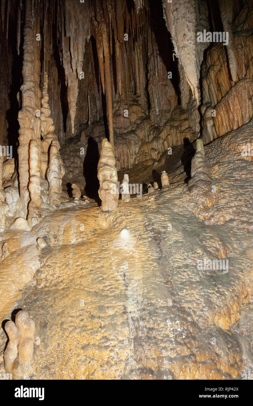 Hastings Cave, Tasmania, Australia Stock Photo Alamy