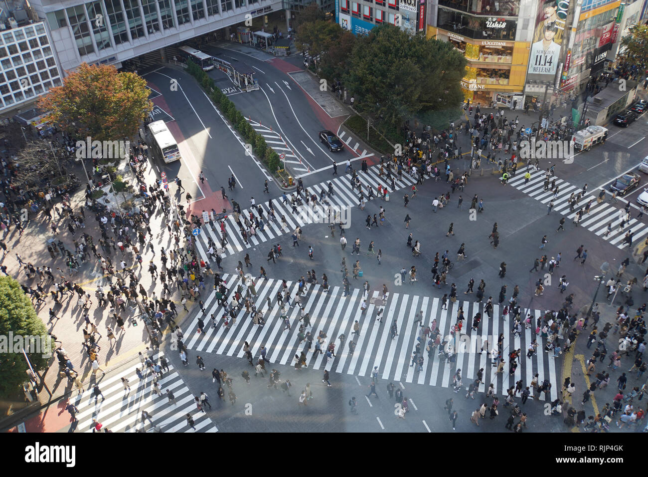Elevated View Of A Crowed Of Pedestrians Crossing A Four Way Zebra Crossing In Central Tokyo Japan Stock Photo Alamy Elevated View Of A Crowed Of Pedestrians Crossing A Four Way Zebra Crossing In Central Tokyo Japan Stock Photo Alamy