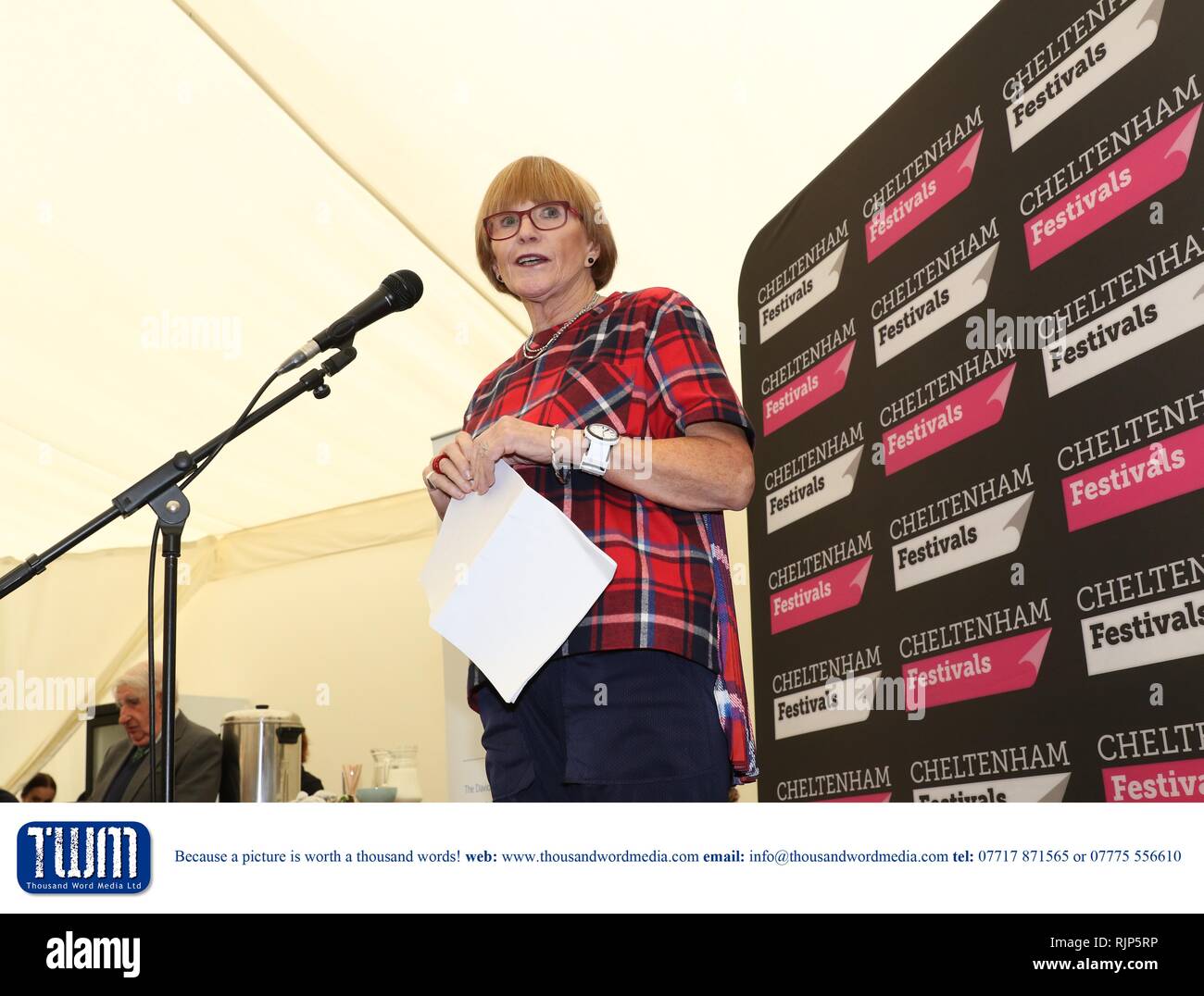 The David Vaisey Prize for Libraries Presentation with Alan Bennett at The Cheltenham Literature Festival - Anne Robinson    -  Sunday 8th of October  Stock Photo