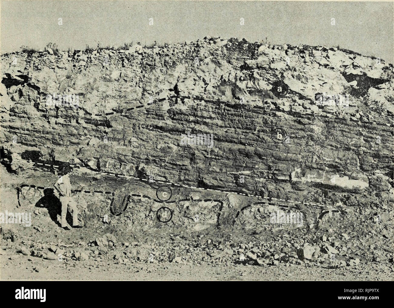 Horizontal bedding planes hires stock photography and images Alamy