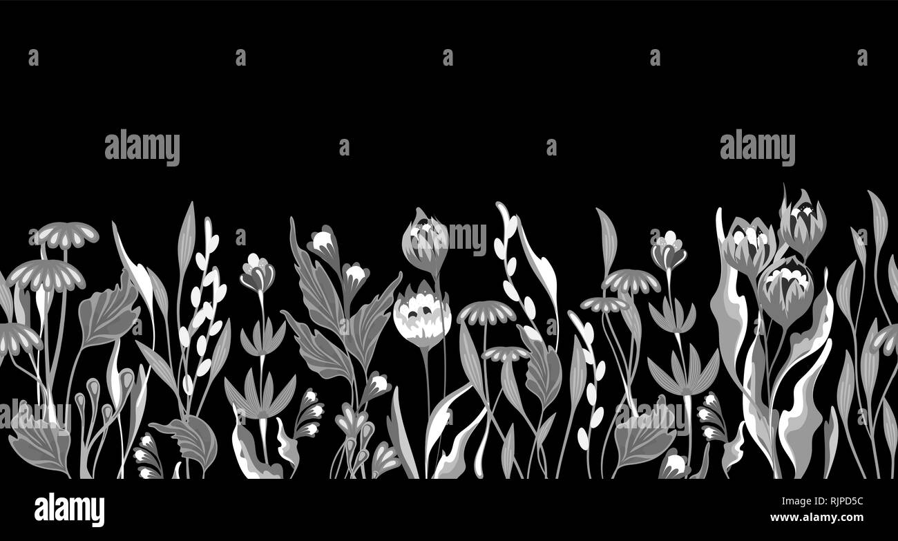 Floral border Black and White Stock Photos & Images - Alamy