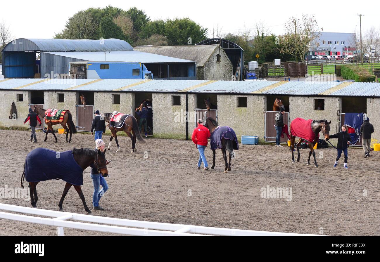 Trainer Gordon Elliott at Thurles Racecourse Stock Photo Alamy