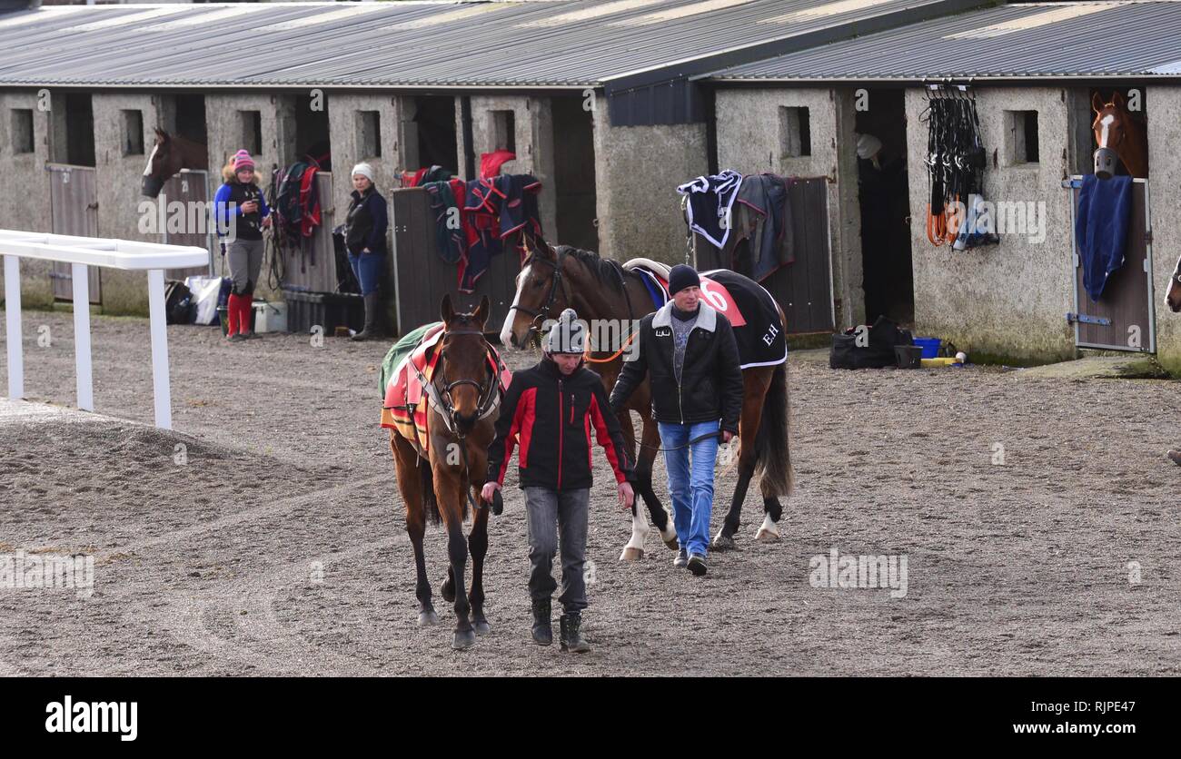 Thurles Racing Thurles horse racing hi-res stock photography and images - Alamy